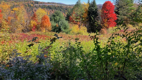 Hudson Valley Autumn